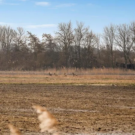 In With Wifi Casa de Férias *